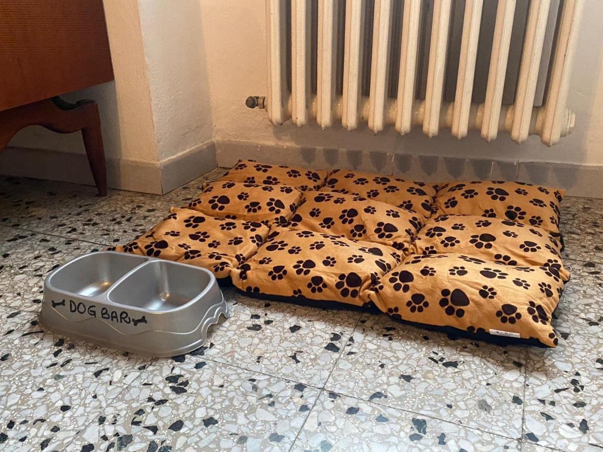 Casa Vacanze Beppina コルトーナ エクステリア 写真